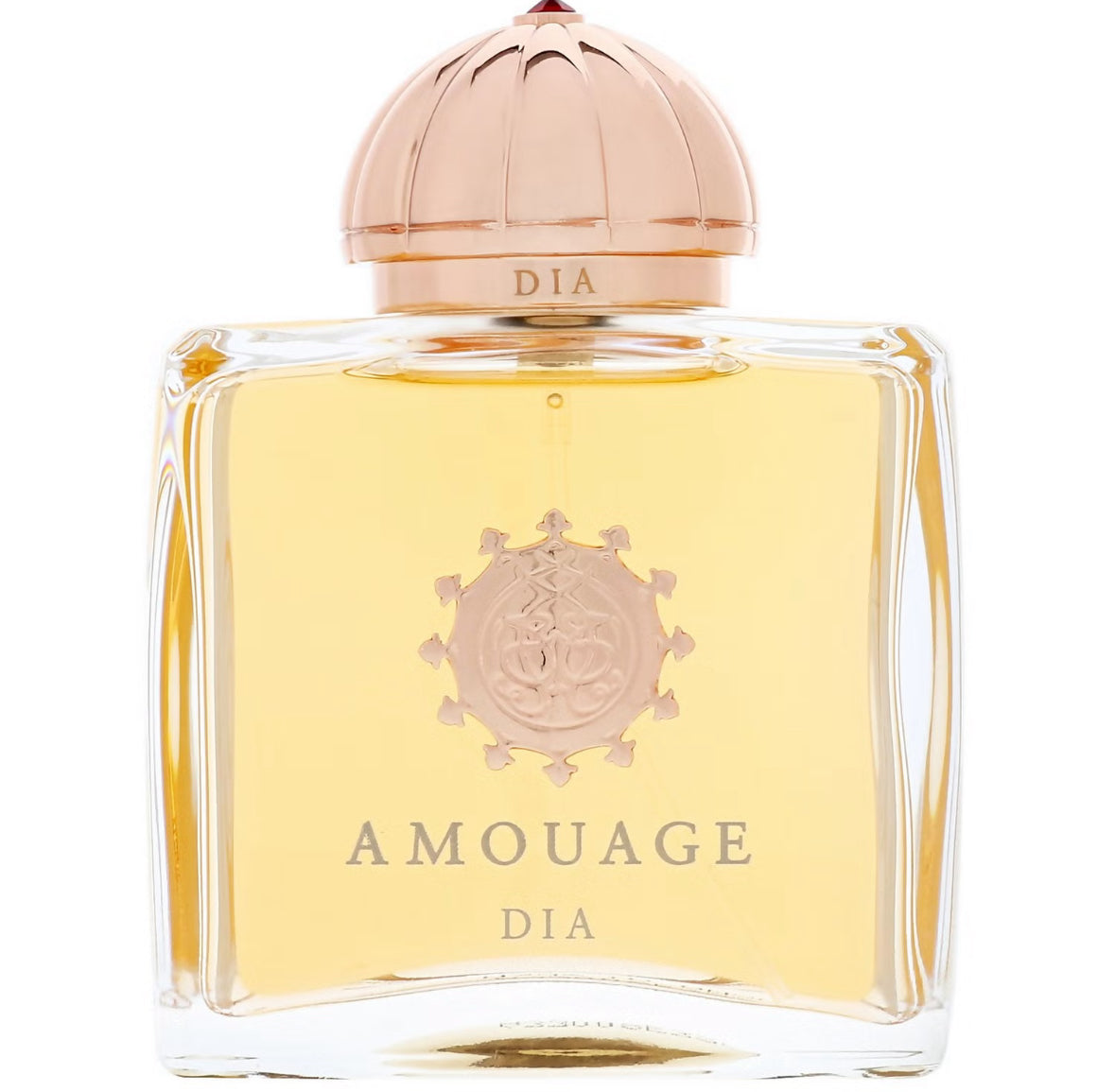 Amouage Beloved Eau de Parfum 100ml