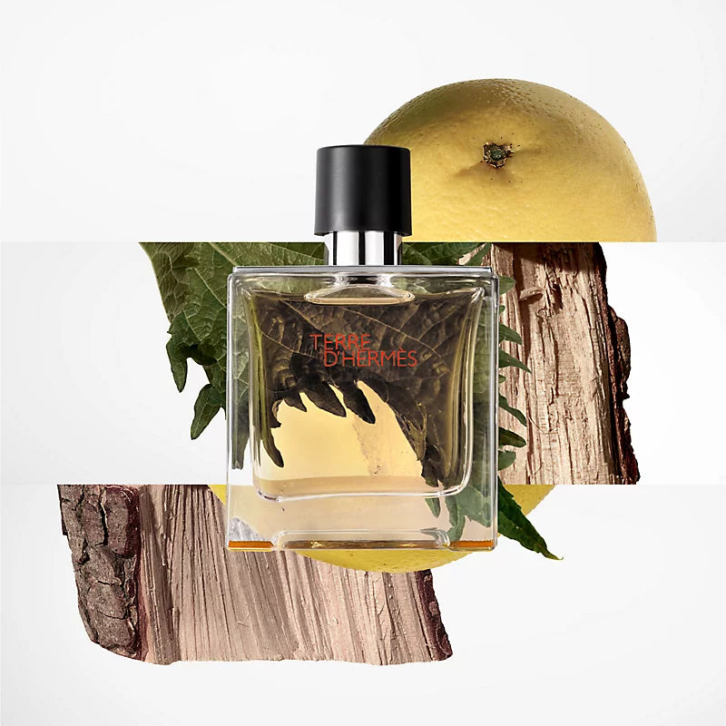 Hermès Terre D´Hermes Eau de Toilette